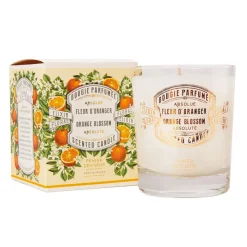 Fabrique de Styles Bougie parfumée fleur d'oranger 45h - Les absolues* Bougies Parfumées