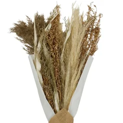 Fabrique de Styles Bouquet fleurs séchées limonium h50cm plantes séchées* Fleurs Séchées