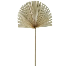 Fabrique de Styles Branchage palmier 50xh96cm feuille de palmier* Fleurs Séchées