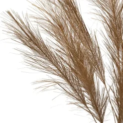 Fabrique de Styles Branchage pampa h75cm - Pampa* Fleurs Et Plantes Artificielles