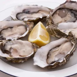 Fabrique de Styles Coffret huitre 1 couteau et 4 fourchettes - Noel* Ustensibles De Cuisine