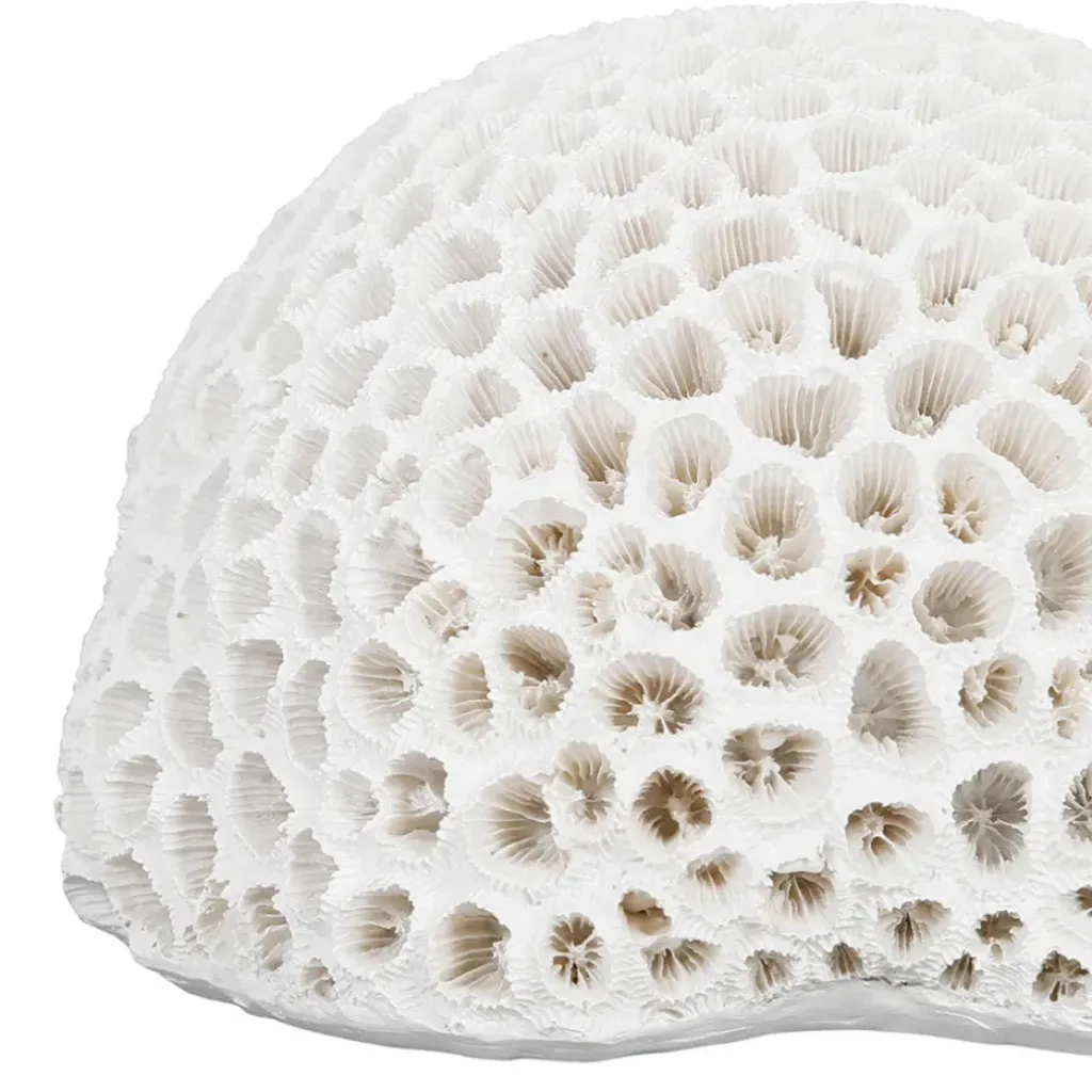 Fabrique de Styles Déco corail rond - bordemer* Petits Objets Déco