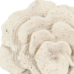 Fabrique de Styles Déco corail h22,5cm - Ostrea* Petits Objets Déco