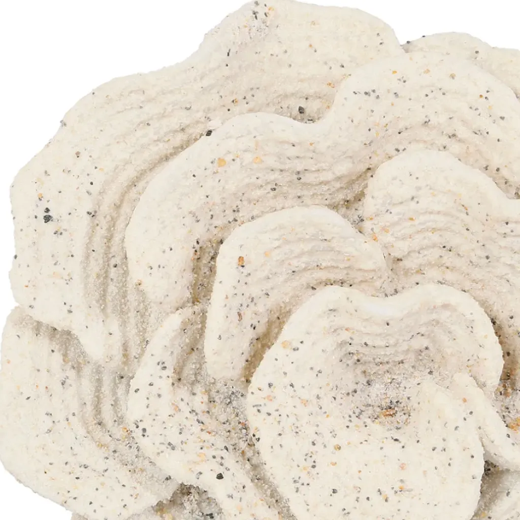 Fabrique de Styles Déco corail h22,5cm - Ostrea* Petits Objets Déco