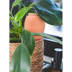 Fabrique de Styles Diffuseur d'eau en argile 25cl - Olla* Accessoires