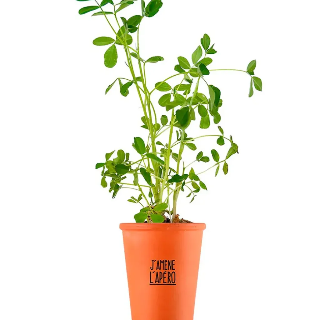 Fabrique de Styles Kit message j'amène l'apéro - cacahuètes* Prêt À Pousser