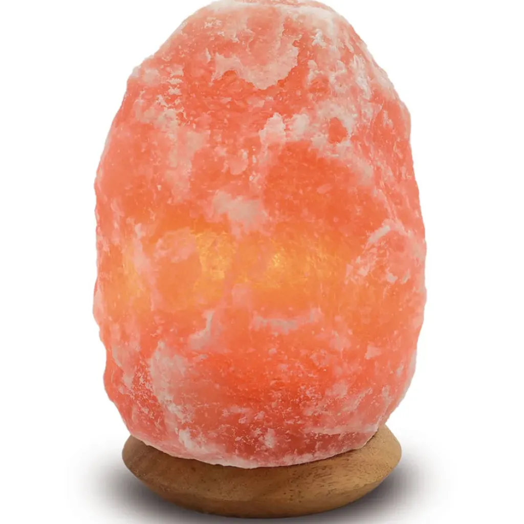 Fabrique de Styles Lampe en cristal de sel pièce de 2 à 3 kg* Lampes À Poser