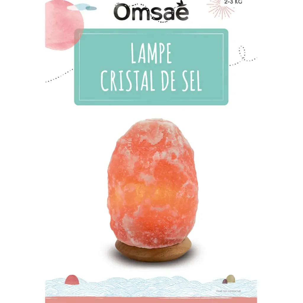 Fabrique de Styles Lampe en cristal de sel pièce de 2 à 3 kg* Lampes À Poser