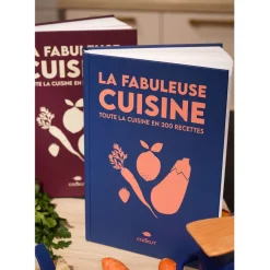Fabrique de Styles Livre de 200 recettes pour la Fabuleuse* Livres