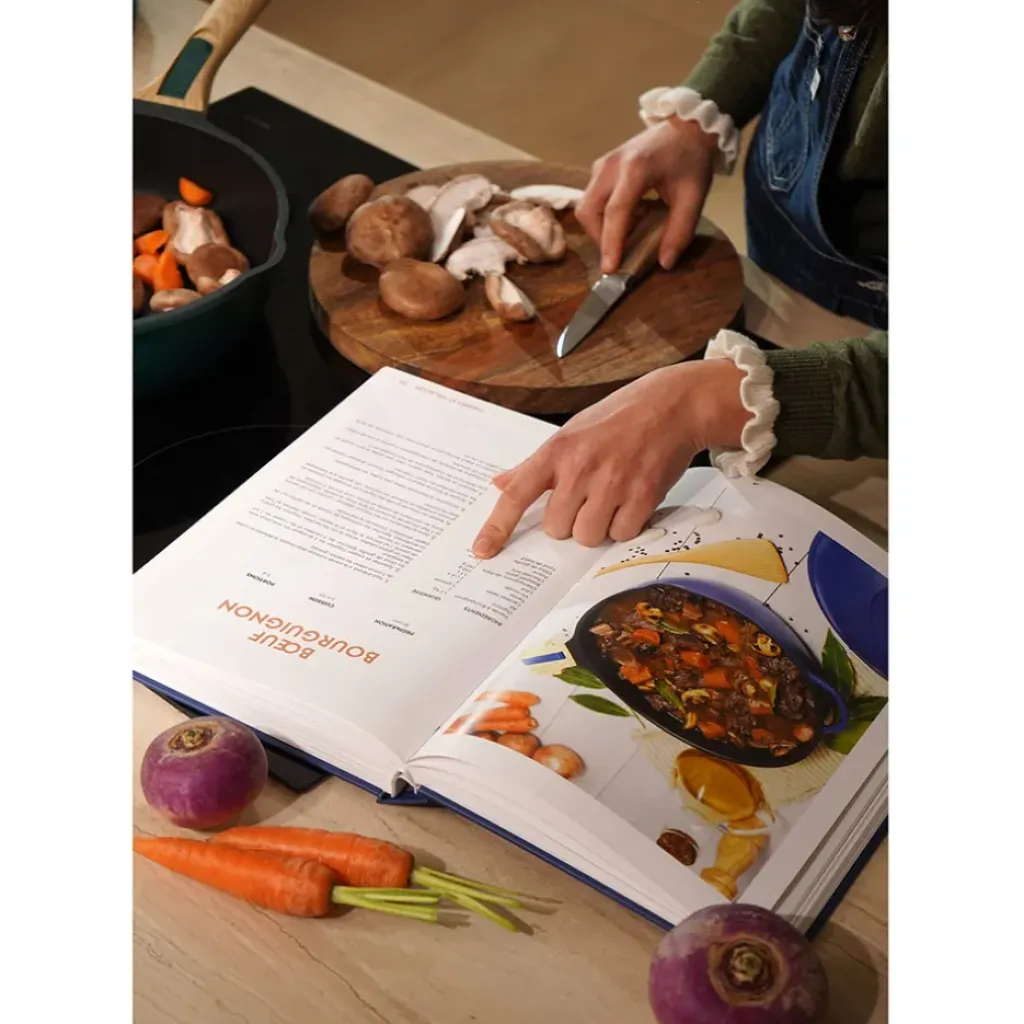 Fabrique de Styles Livre de 200 recettes pour la Fabuleuse* Livres