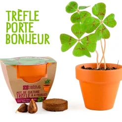 Fabrique de Styles Mini kit d6cm terre cuite trèfle 4 feuilles* Prêt À Pousser