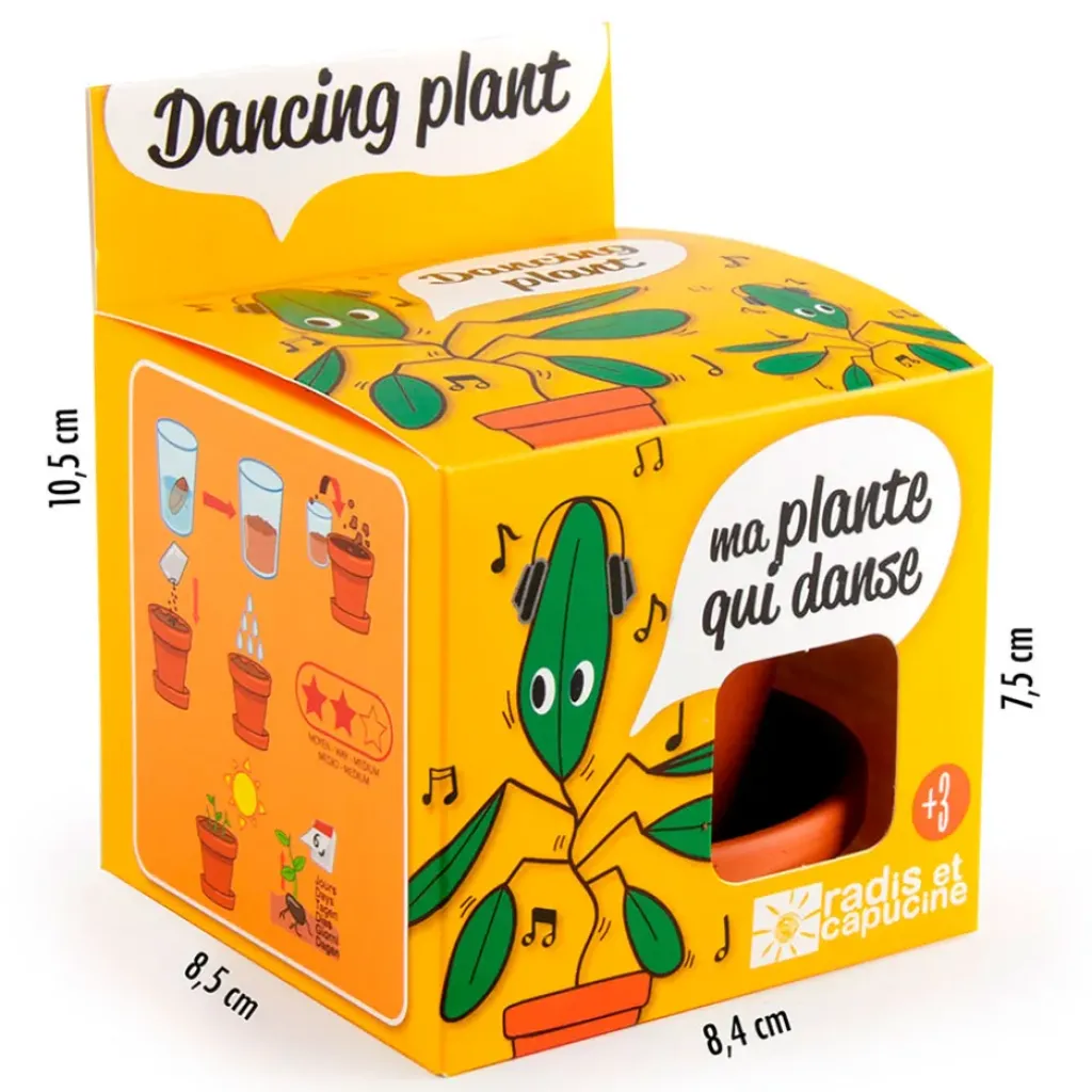 Fabrique de Styles Pot d8cm avec coupelle plante qui danse* Prêt À Pousser