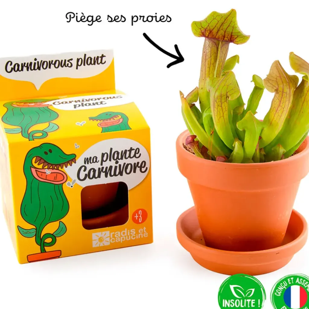 Fabrique de Styles Pot d8cm avec coupelle plantes carnivores* Prêt À Pousser