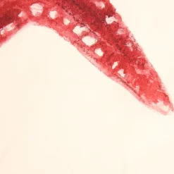 Fabrique de Styles Set de 5 torchons crustace en coton* Torchons, Tabliers Et Maniques