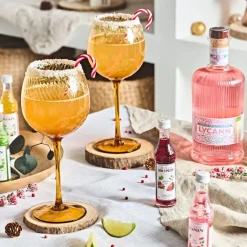 Fabrique de Styles Verre à pied pour vin en verre 60cl - Champart* Verres À Vin